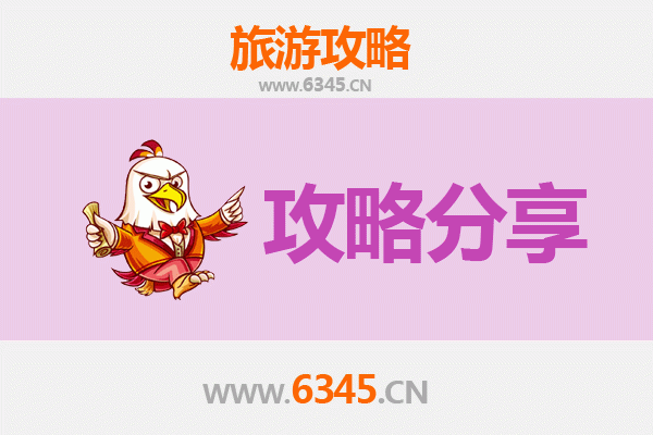 赣州瑞金旅游攻略：跟团游与自由行深度对比